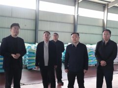 必需“人平易近至上、生